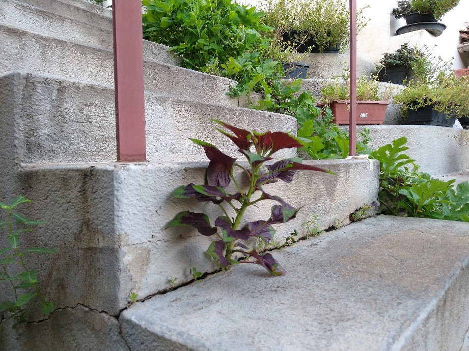 Pousada Do Sol主图