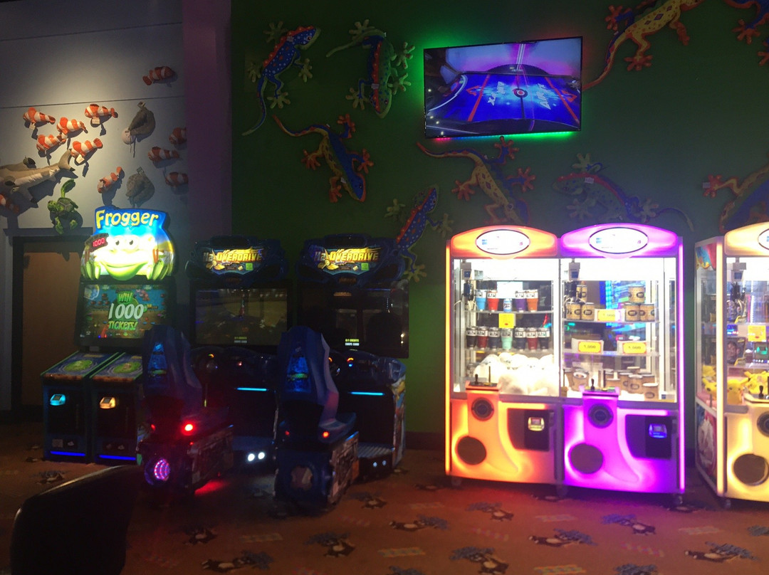 The Track-皮金福奇必去景点