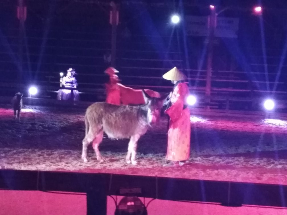 Parques Panaca-Quimbaya必去景点