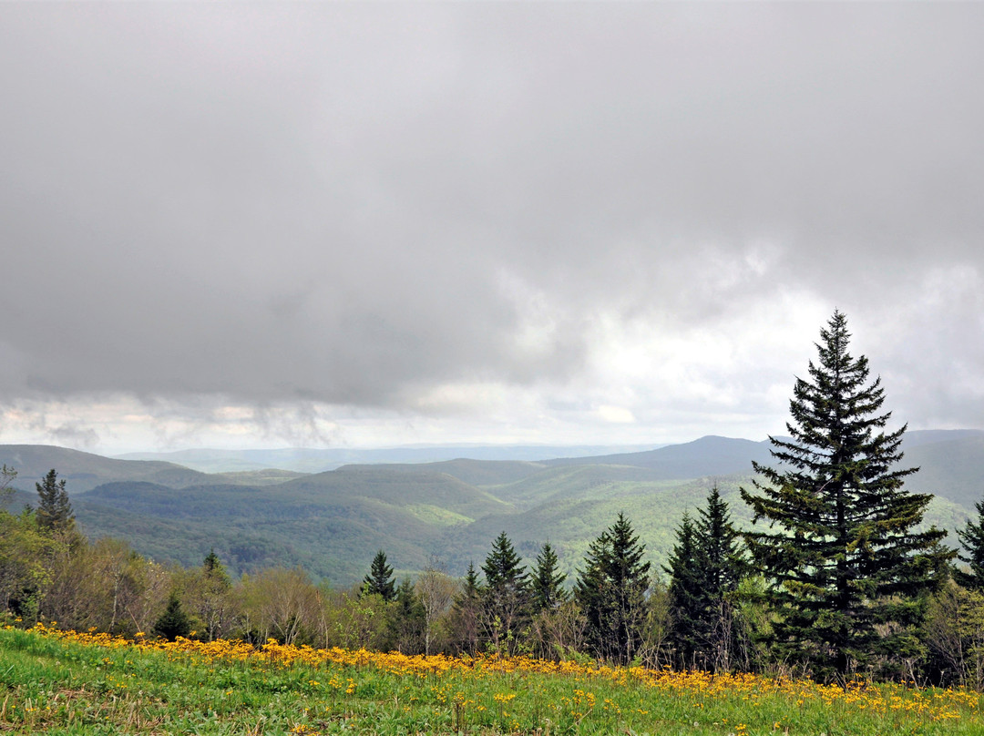 Highland Scenic Highway景点图片