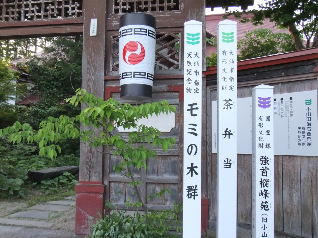 Shohoen主图