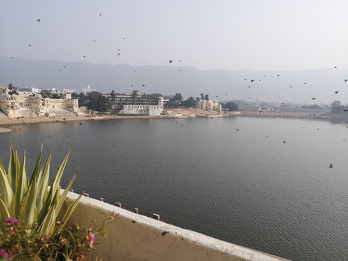 Private Tour Pushkar-普希卡必去景点