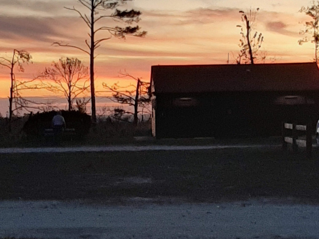 Torreya State Park景点图片