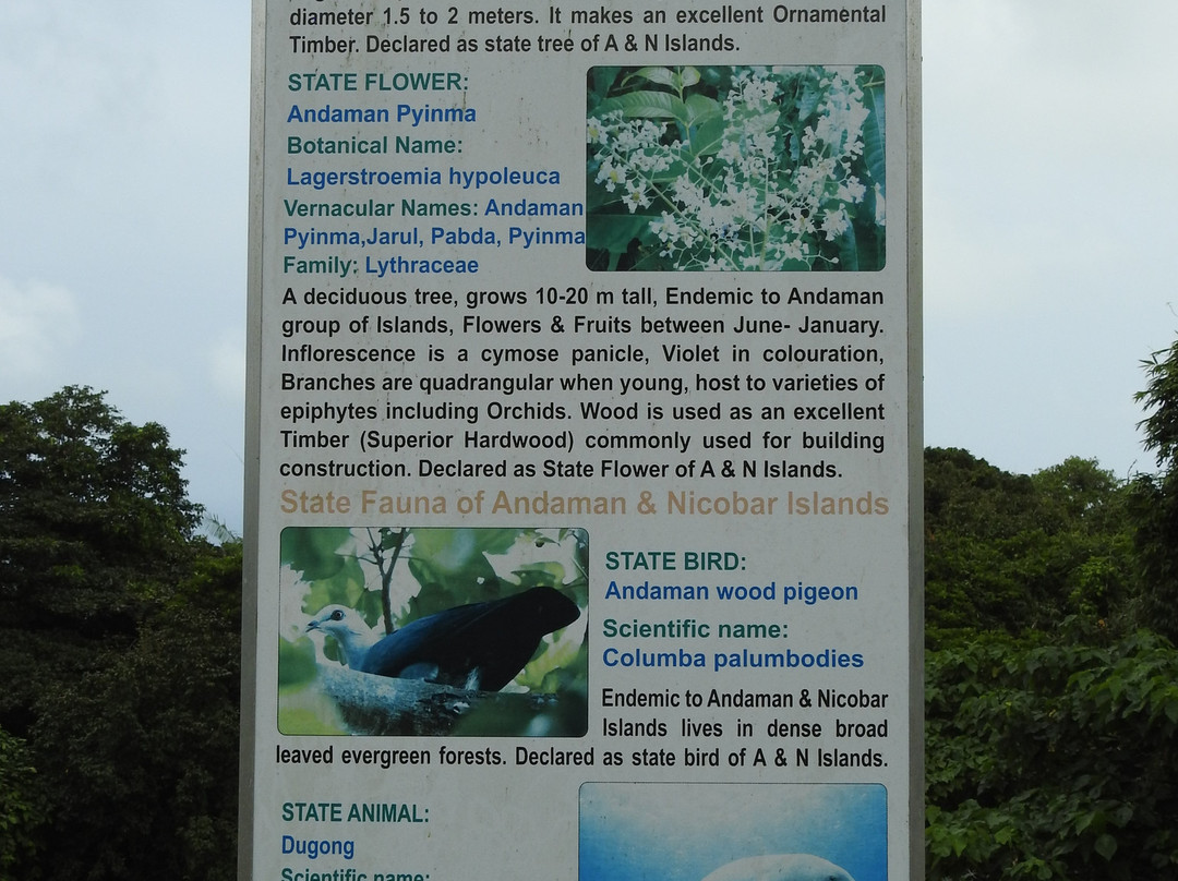 Mount Manipur National Park-布莱尔港必去景点