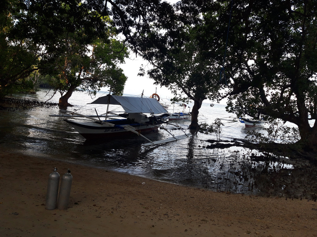 The Three P Beach Resort主图