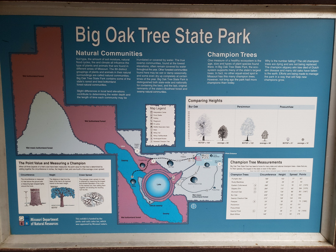 Big Oak Tree State Park-East Prairie必去景点