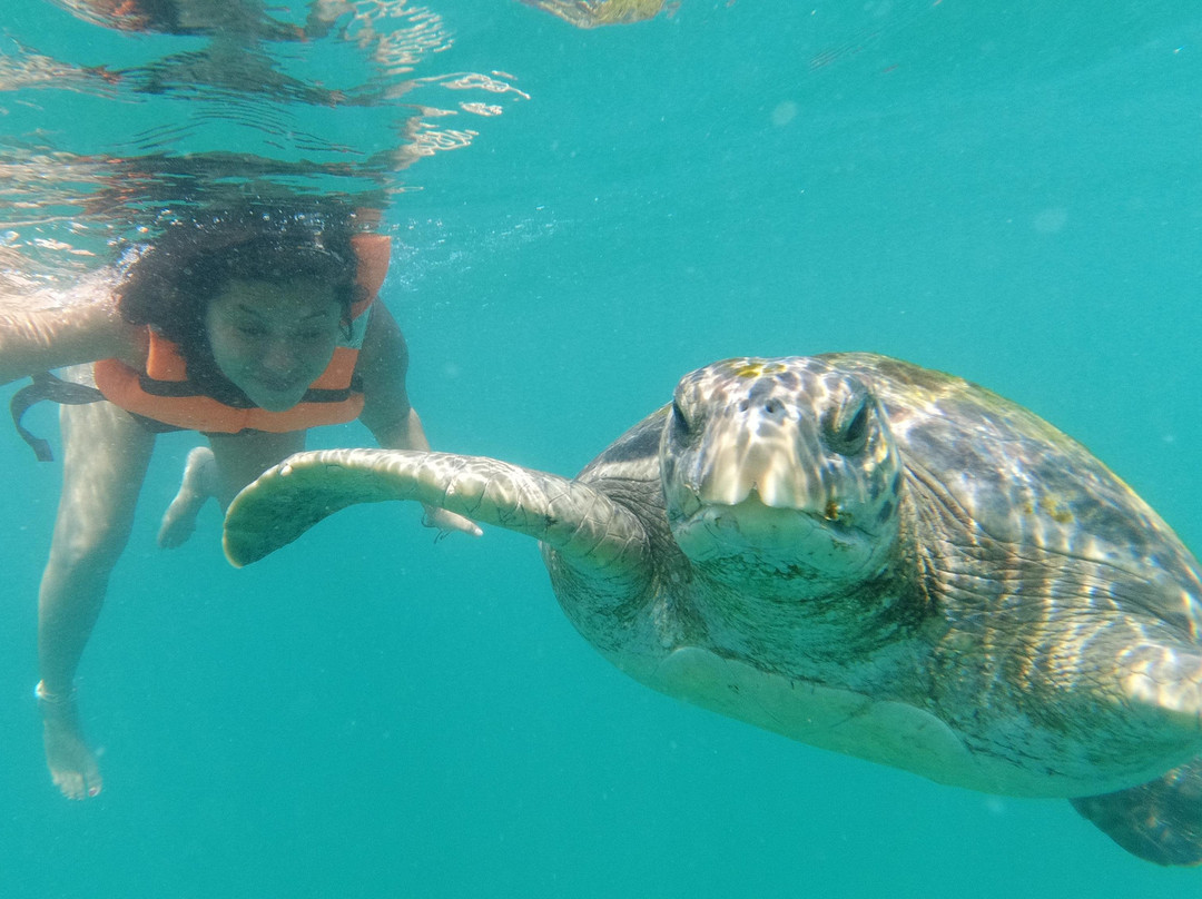 Poseidon Catamaran-Mancora必去景点