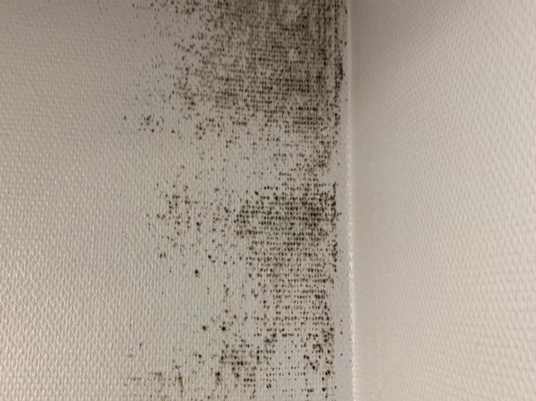 小陛下酒店主图