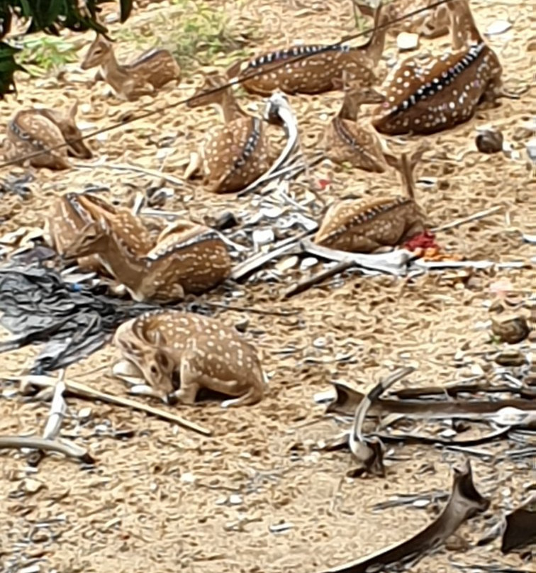 Ravana Abyss-Trincomalee必去景点