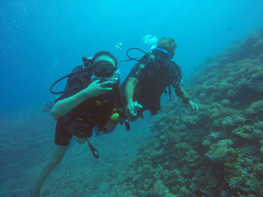 Scubatek Tahiti景点图片