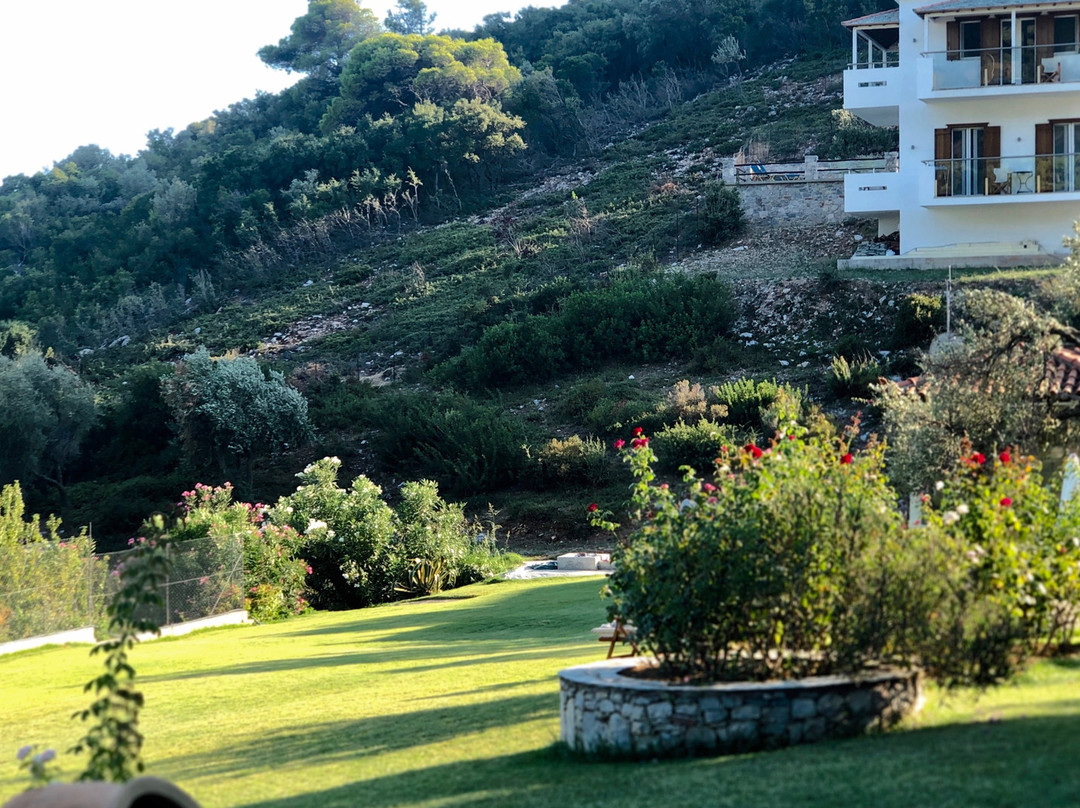 Mando Beachfront主图