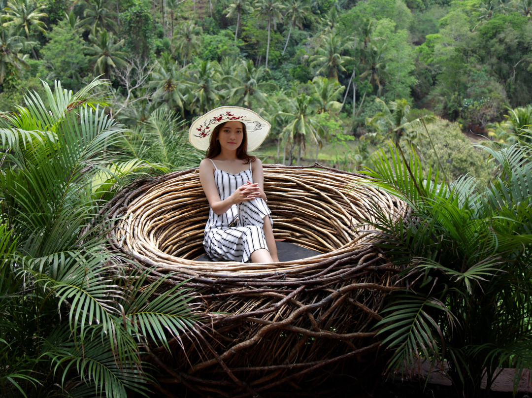 Picheaven Bali Swing-乌布必去景点