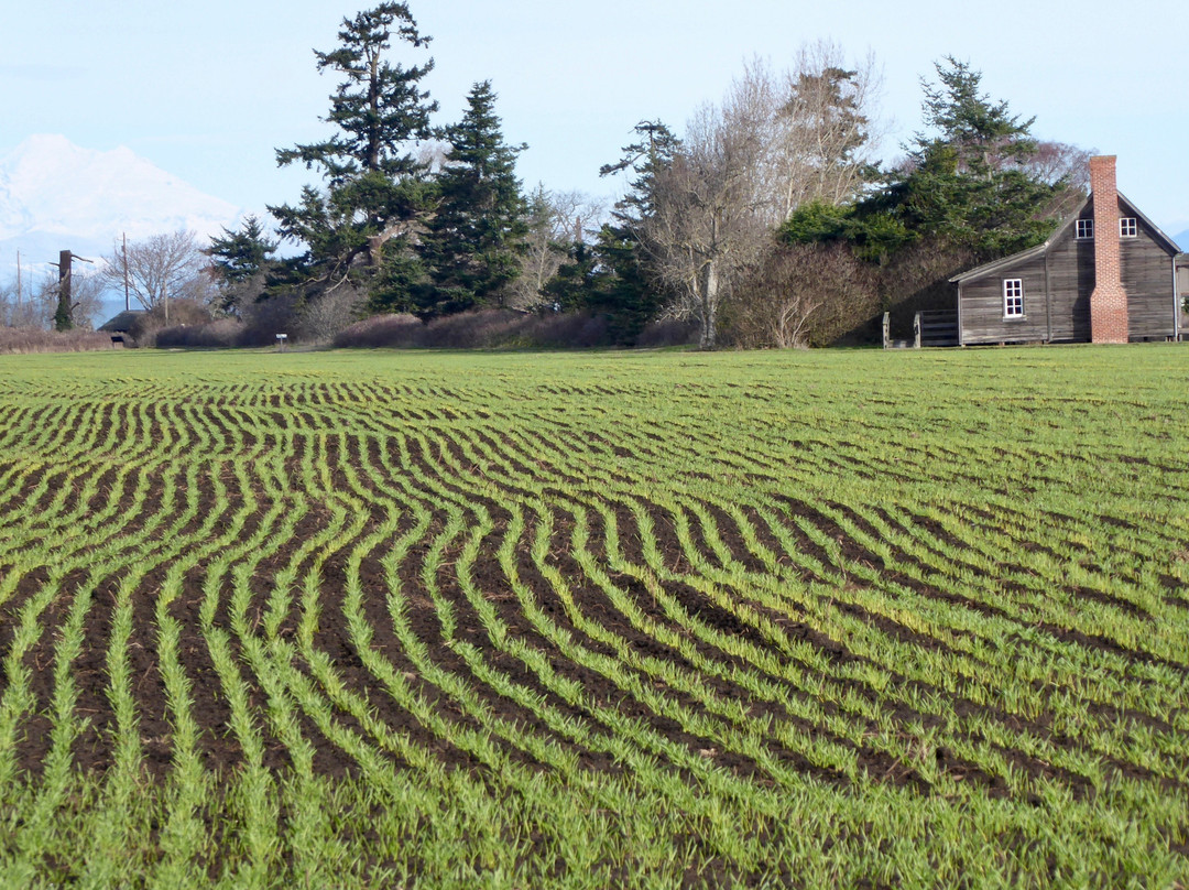 Fort Ebey State Park景点图片