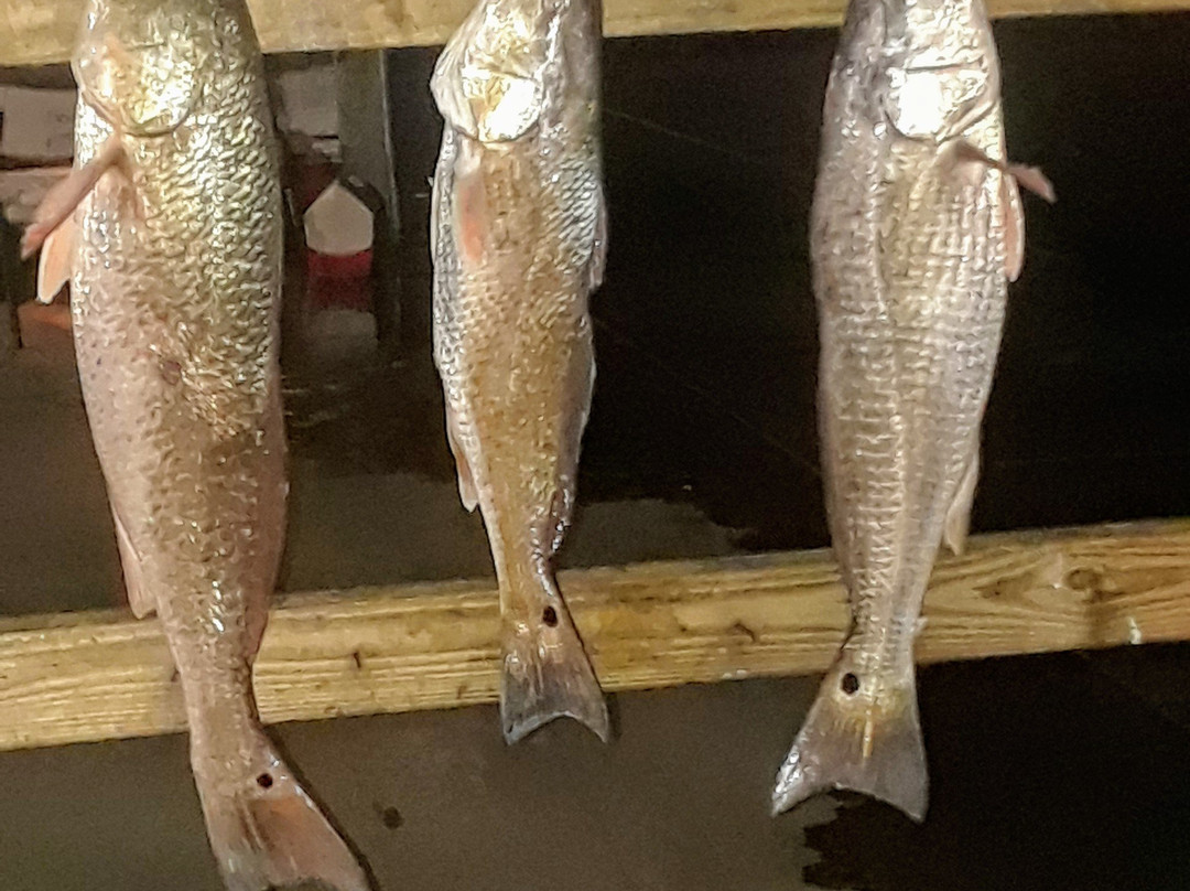 Indian Point-科珀斯克里斯蒂市必去景点