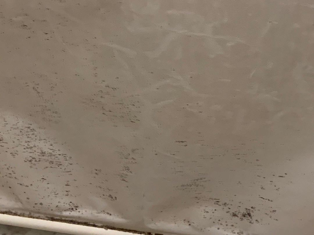 The First Hotel主图