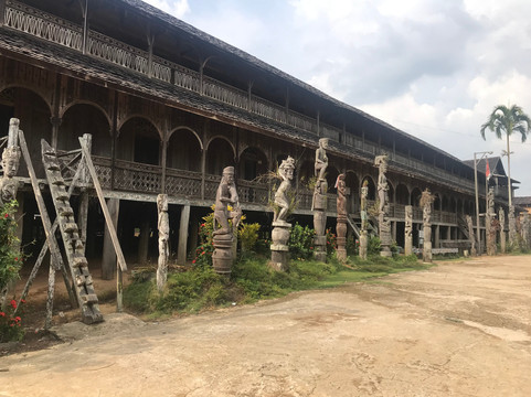 Rimba Borneo Kalimantan Orangutan and Eco Tours-巴厘巴板必去景点