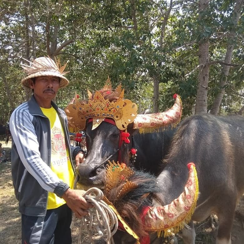 Atuh Forest Cottage主图