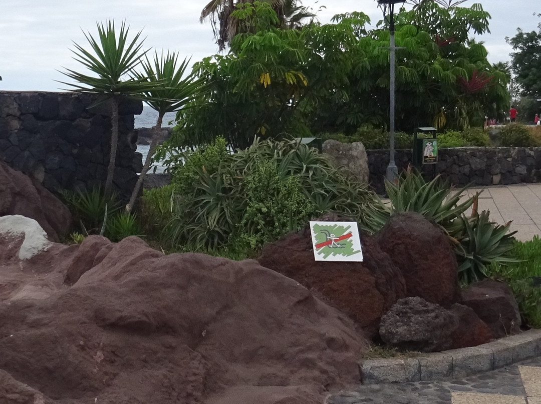 Parque Infantil de Playa Jardín景点图片