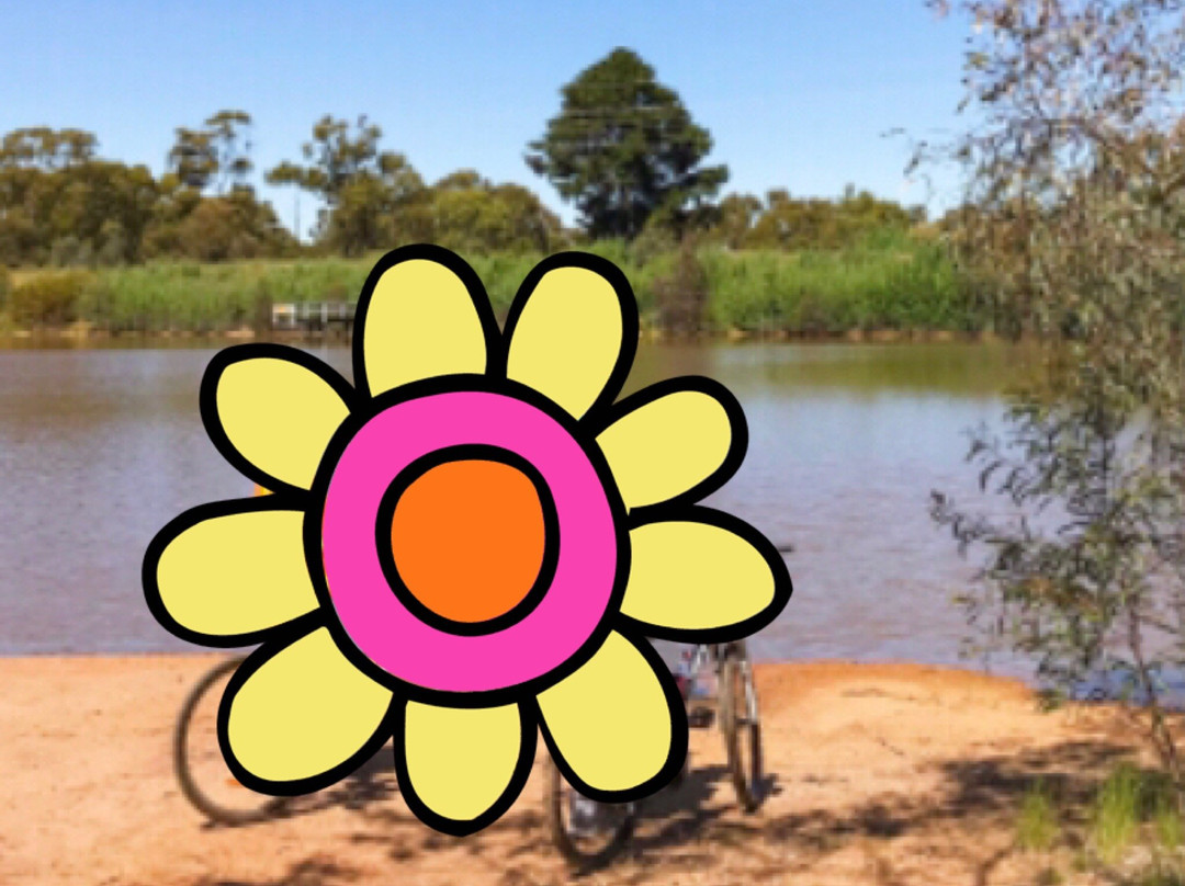 Wedderburn Reservoir Track