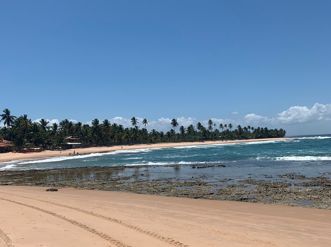 Tres Coqueiros Beach-Barra Grande必去景点
