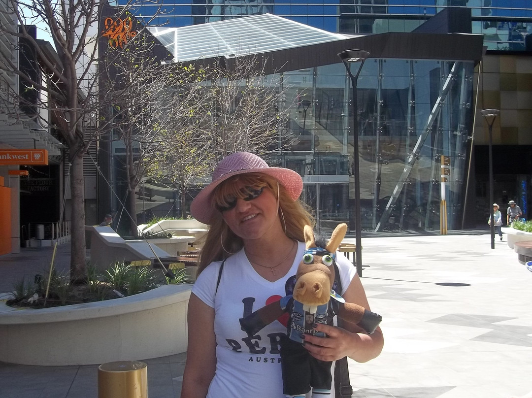 Raine Square-珀斯必去景点