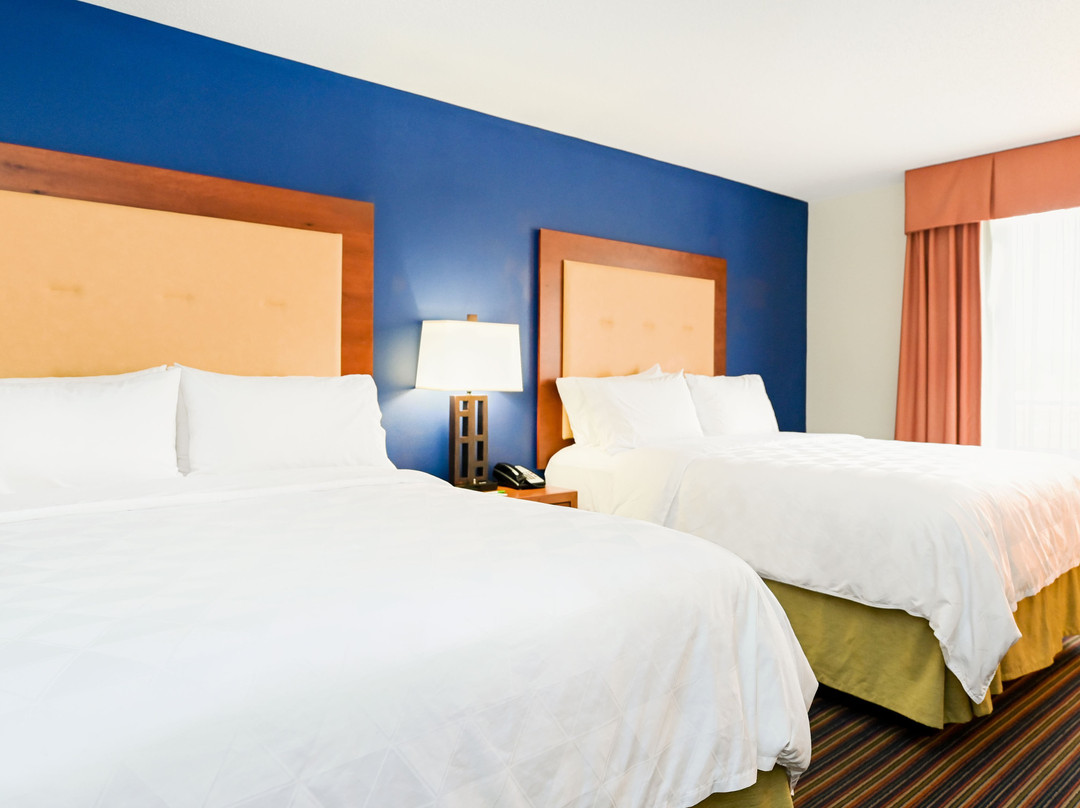 Holiday Inn Petersburg North- Fort Lee by IHG主图