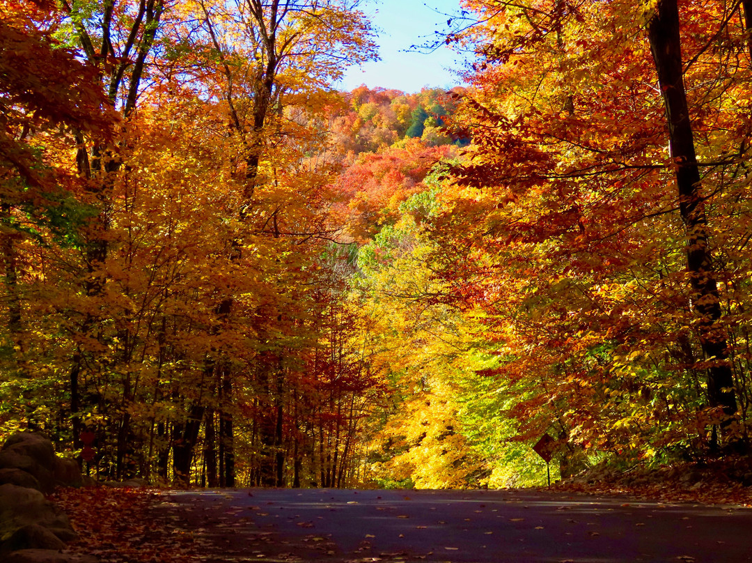 Meech Lake-加蒂诺必去景点