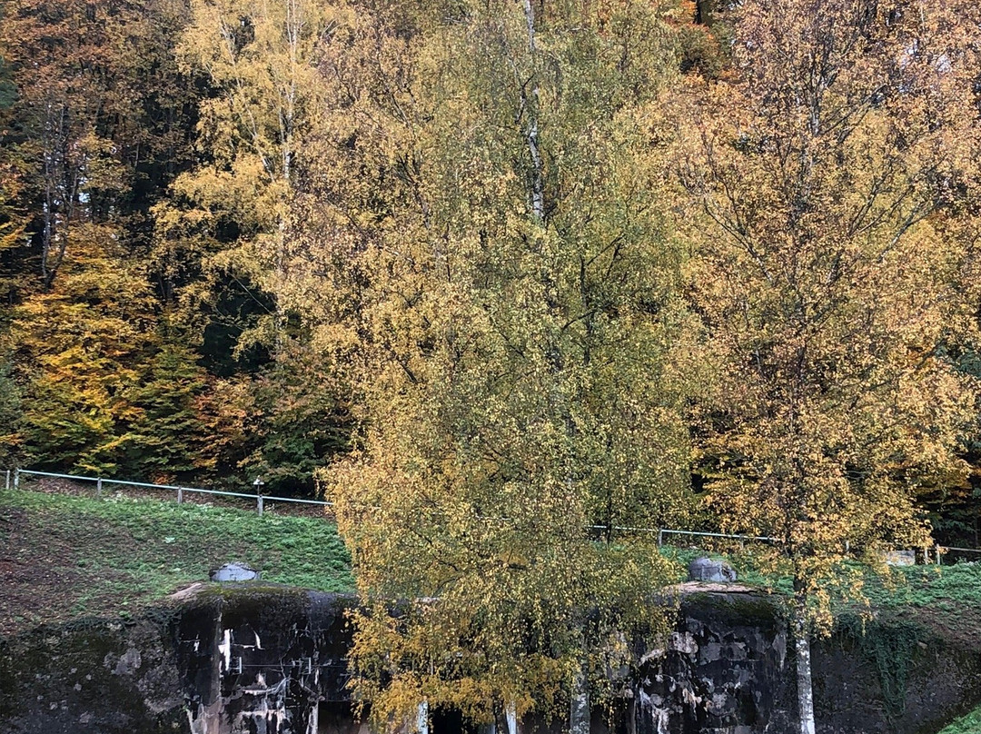 Ouvrage du Simserhof-Siersthal必去景点