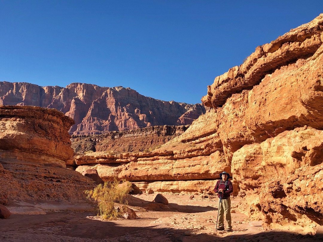 Cathedral Wash Trail-大理石峡谷必去景点