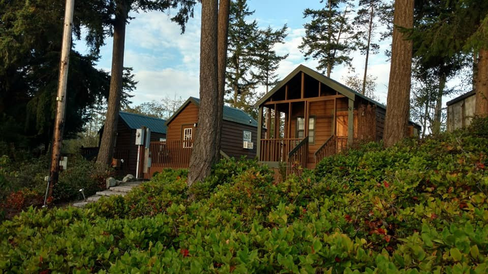 Auld Holland Inn主图