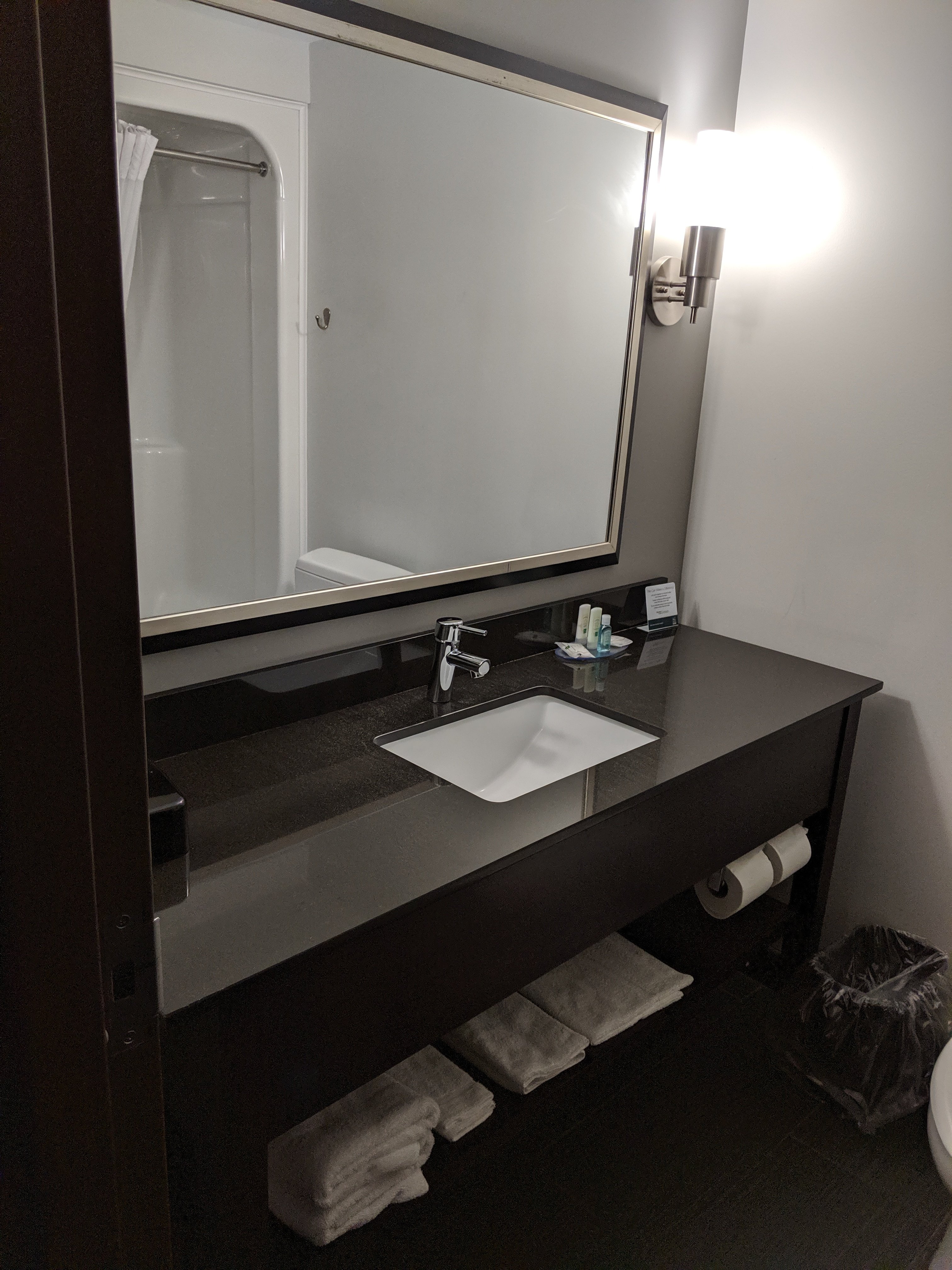 Clarion Pointe Downtown-浴室