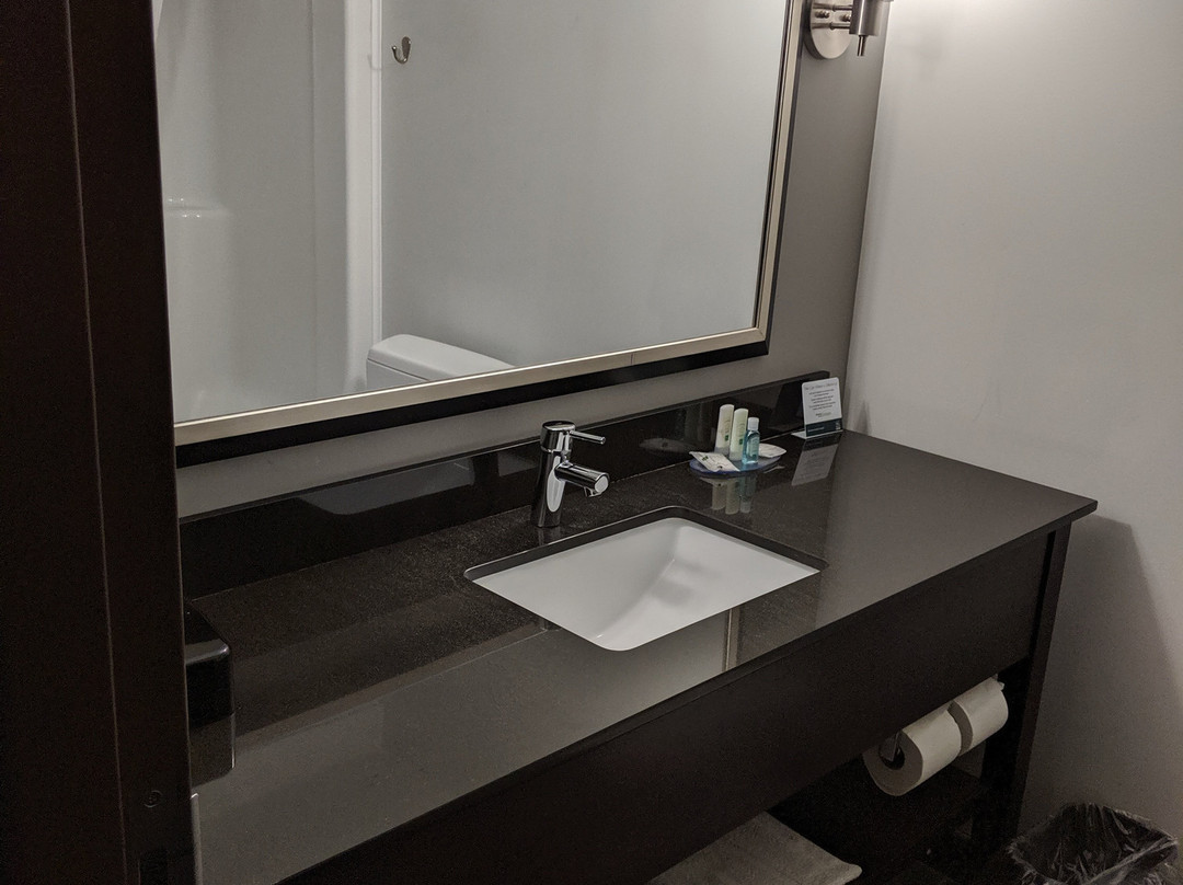 Clarion Pointe Downtown主图