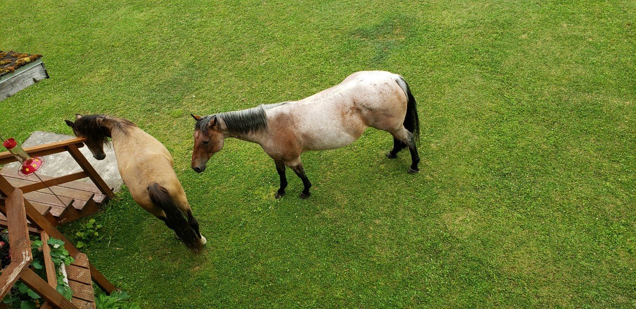 Annie Mae Lodge-酒店景观