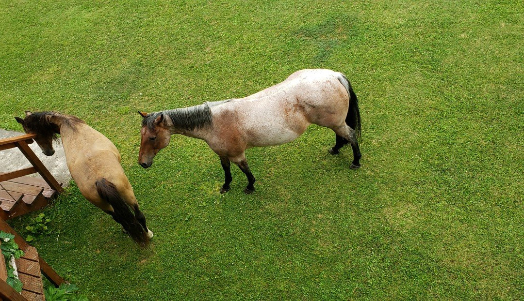 Annie Mae Lodge主图