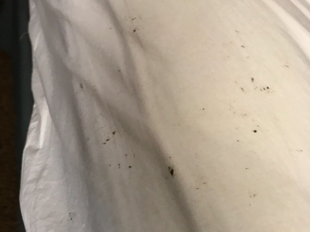 Days Inn by Wyndham Elberton主图