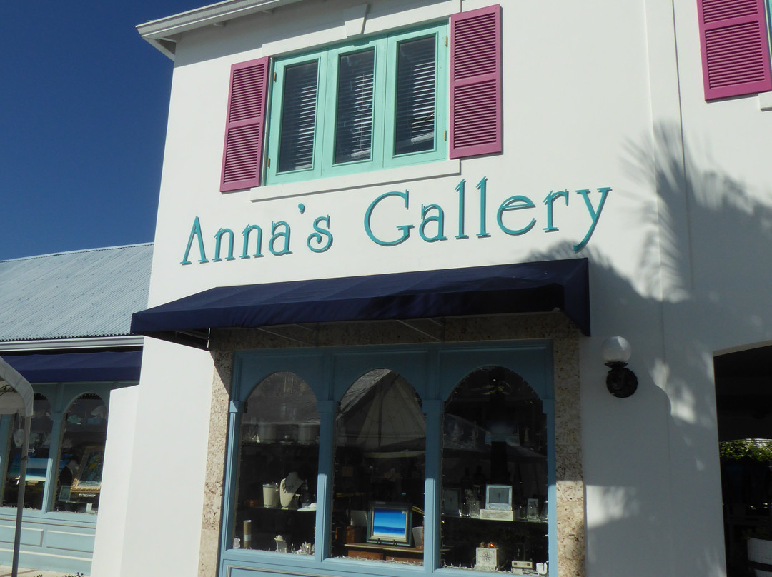 Anna's Art Gallery-普罗维登西亚莱斯必去景点
