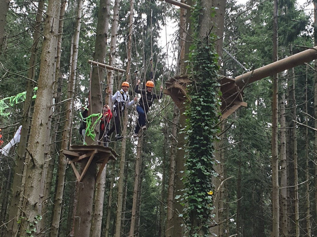 The Tunnel Tree Tops High Ropes景点图片