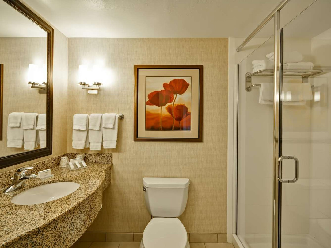 Hilton Garden Inn Tampa/Riverview/Brandon主图