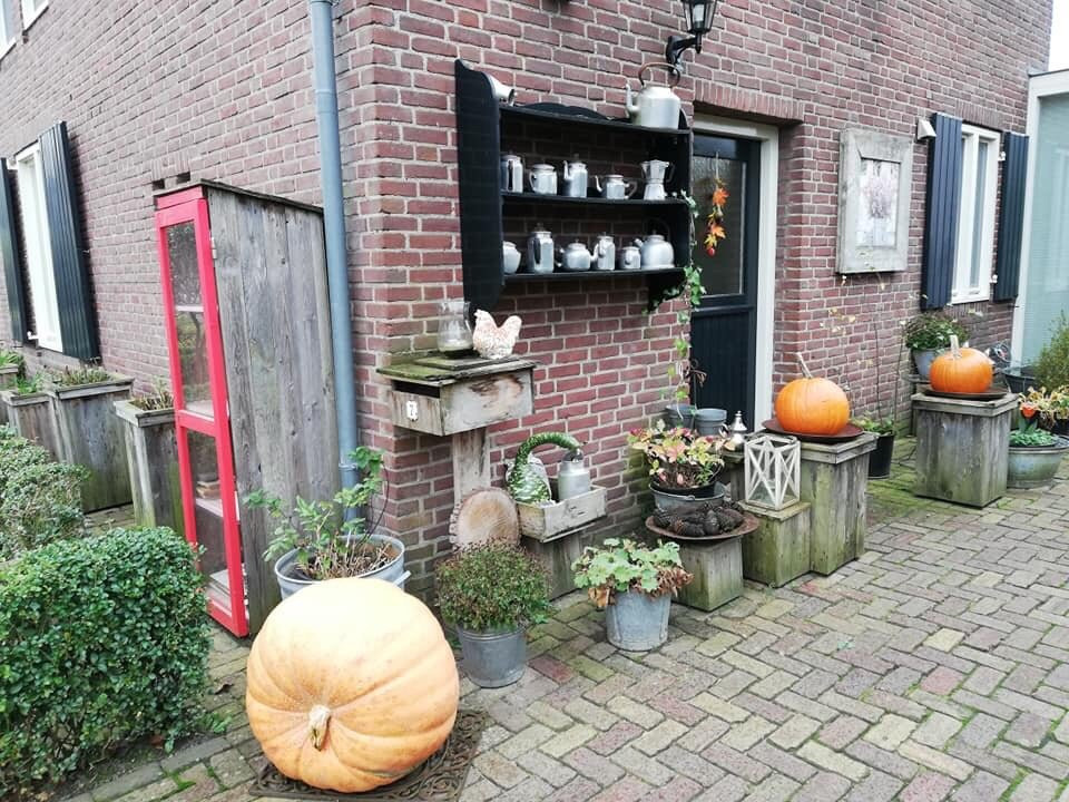 B&B Het Pronkbed主图