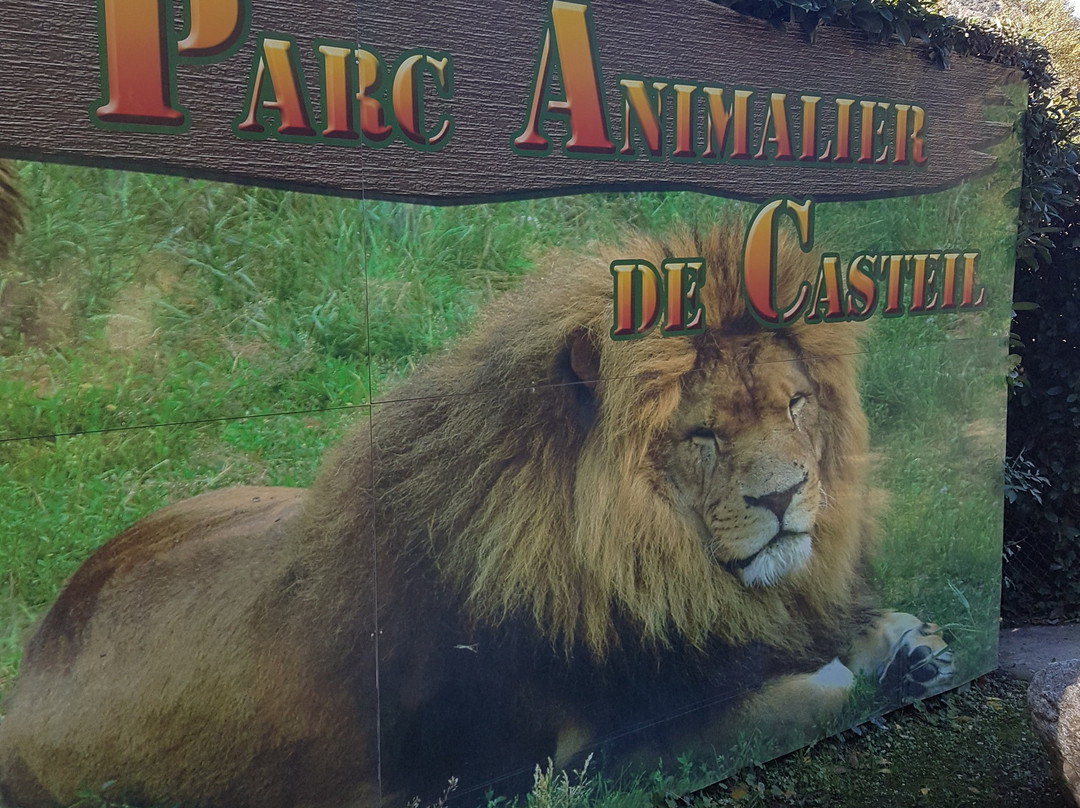 Parc Animalier de Casteil景点图片