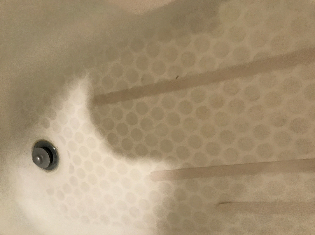 Super 8 by Wyndham Wooster主图