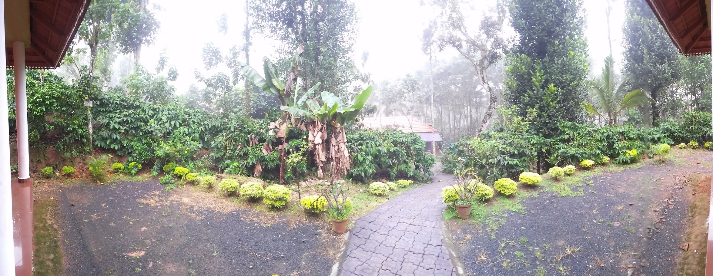 Himadri Retreat-酒店景观