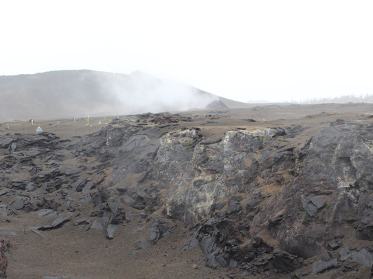 New Way Horizon Travel-希洛必去景点