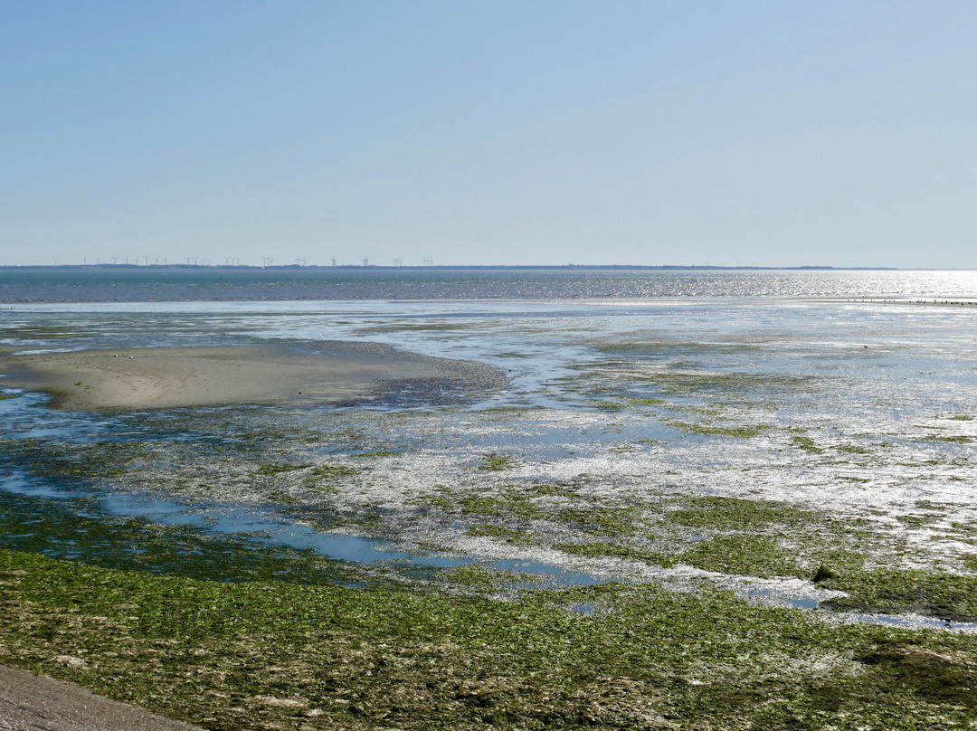 Wadden Sea National Park and World Heritage Site景点图片