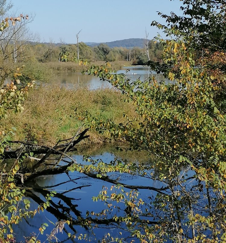 Infohaus Isarmuendung-Moos必去景点
