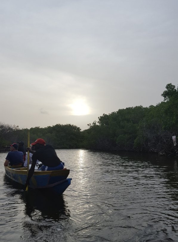 Gambia Kayaking景点图片