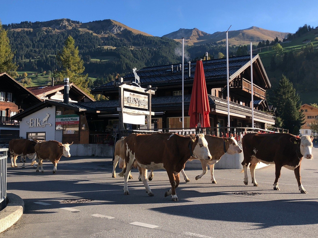 Lenk-Simmental Tourismus AG景点图片