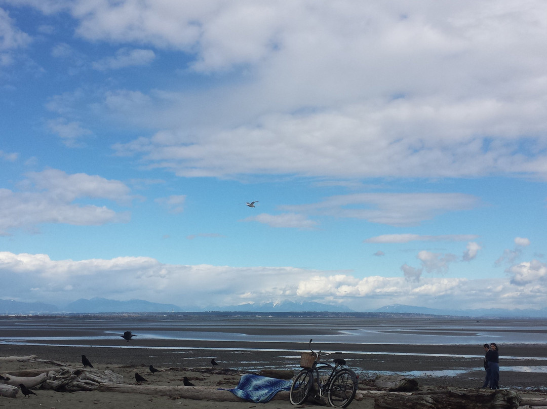 Boundary Bay Regional Park景点图片