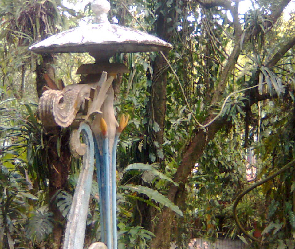 Jardín Escultórico Edward James, Las Pozas景点图片