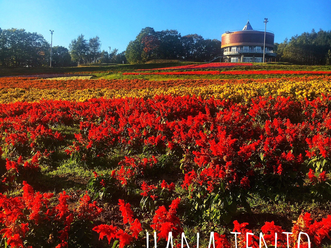 Flower Garden Hana Tento-网走市必去景点